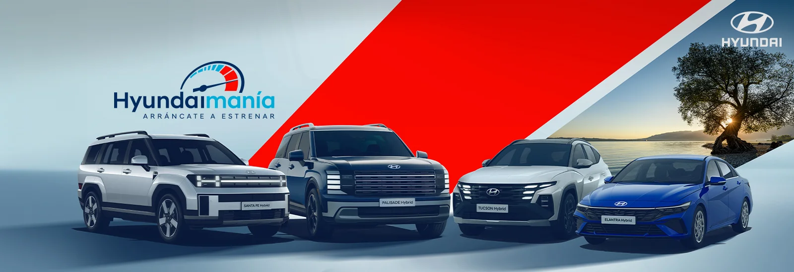 programa de hyundai mania